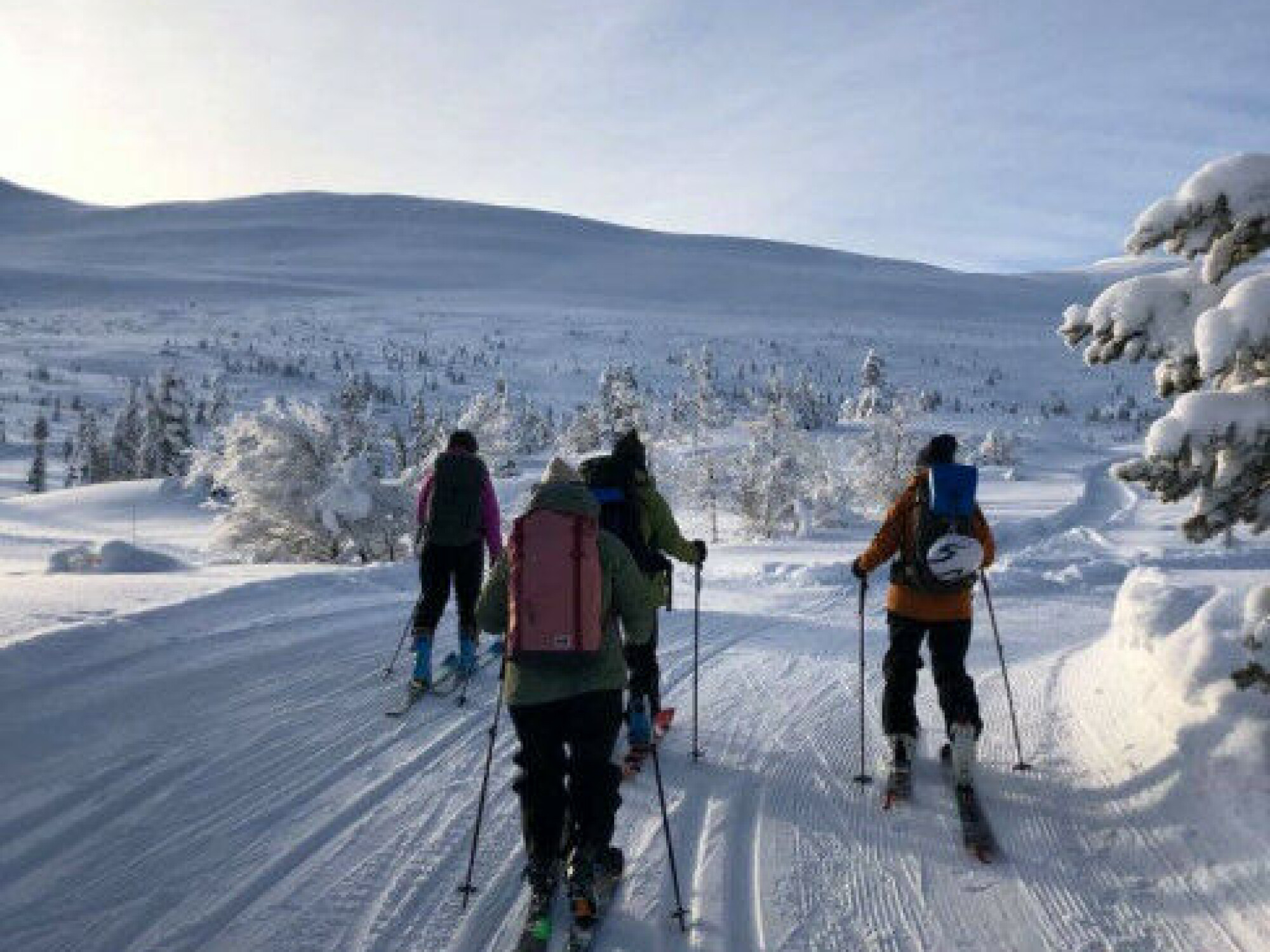 Ta deg en tur i fjellet med ski på beina. Nyt naturen og få opp pulsen!