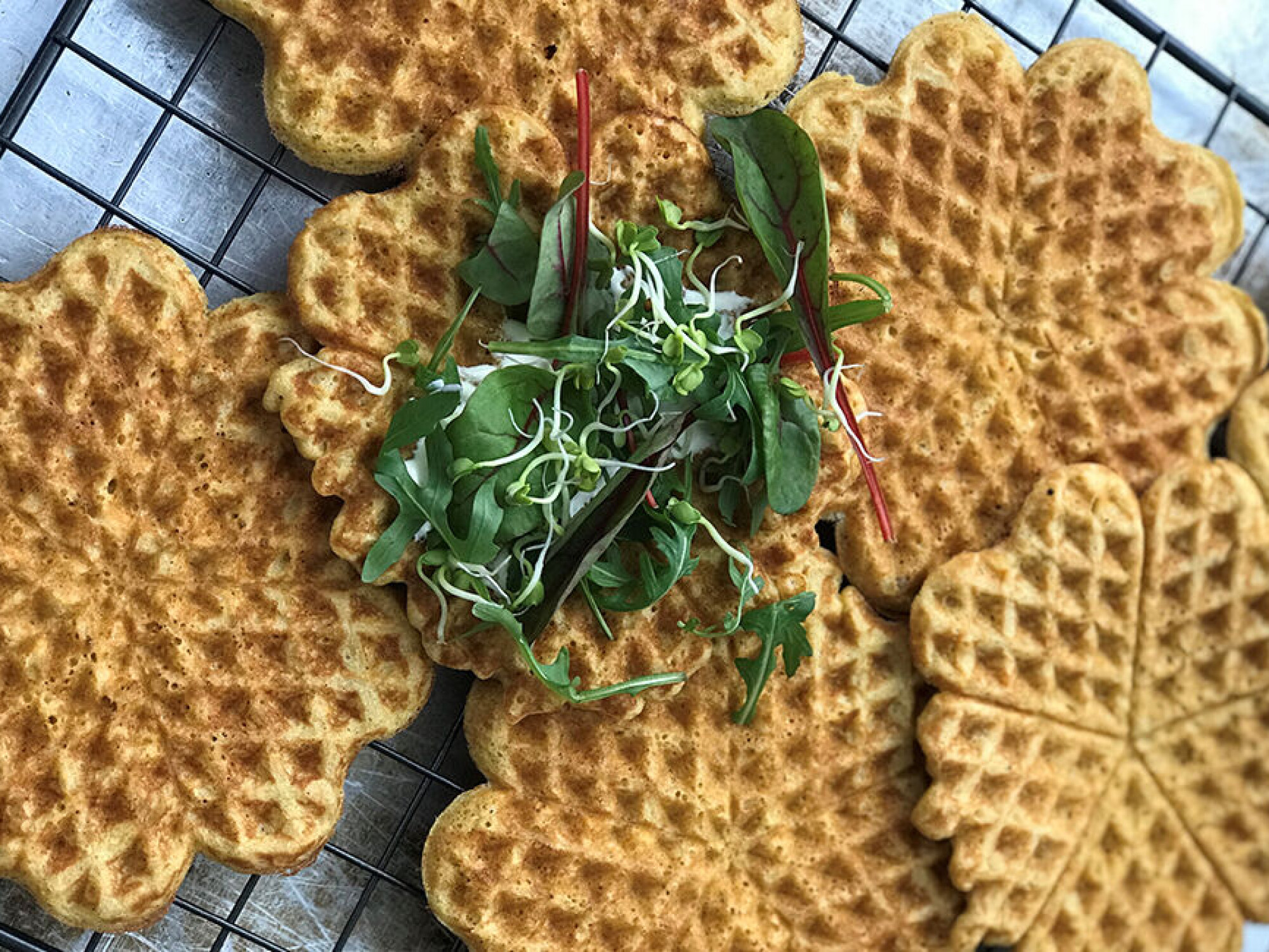 Glutenfri hverdag?
