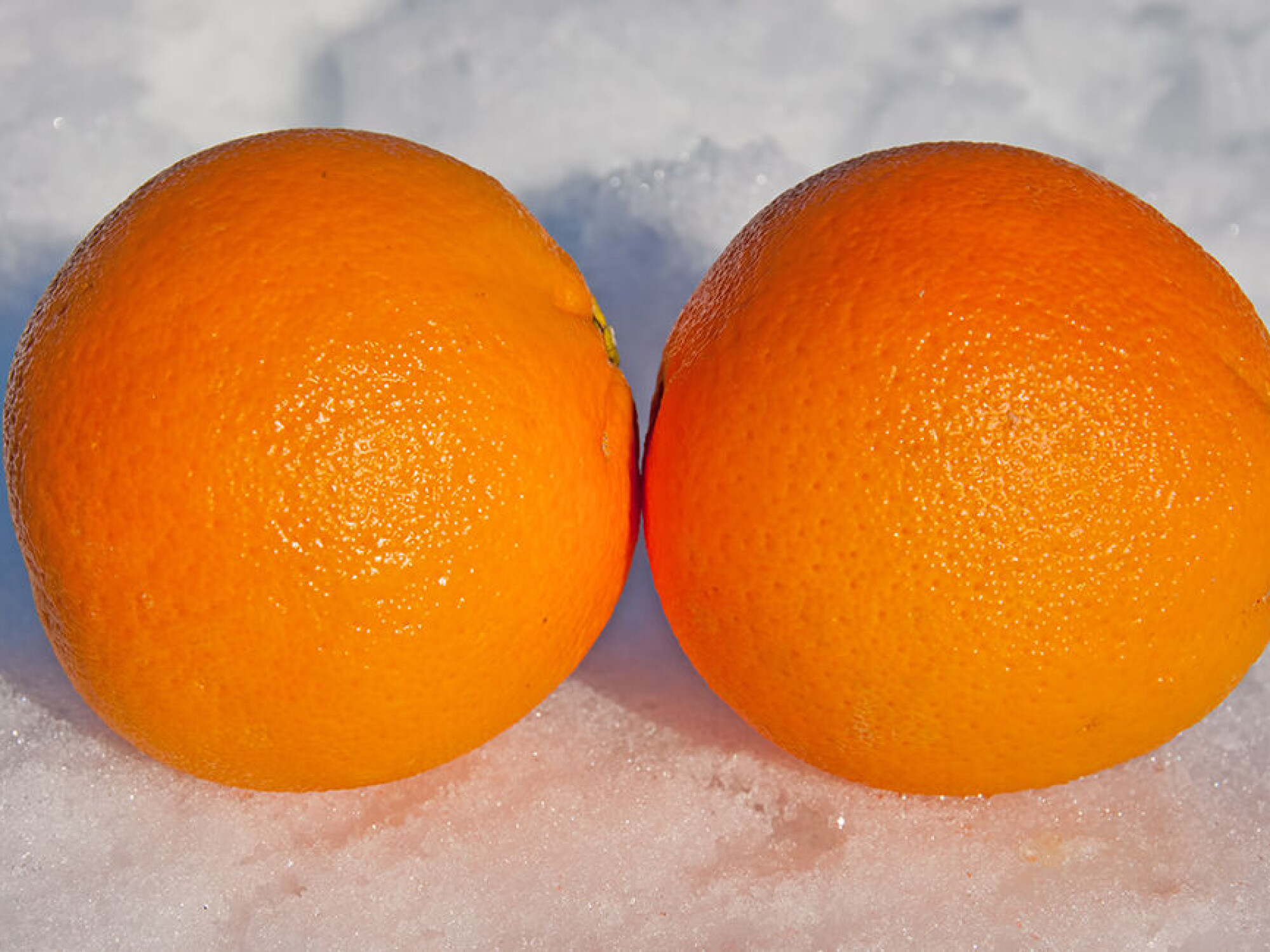 Solskinn på tallerkenen