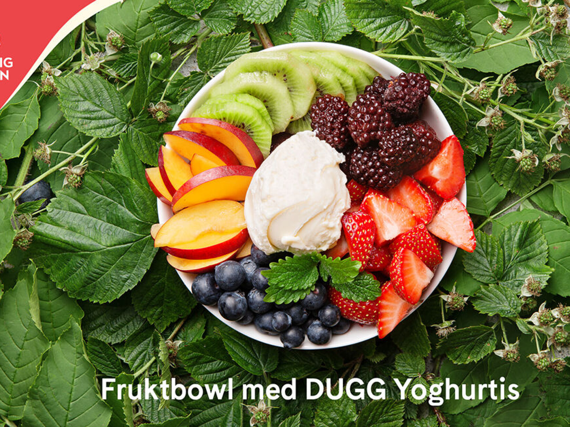 Helgens sunne dessert tips #6 – Fruktbowl med Yoghurtis