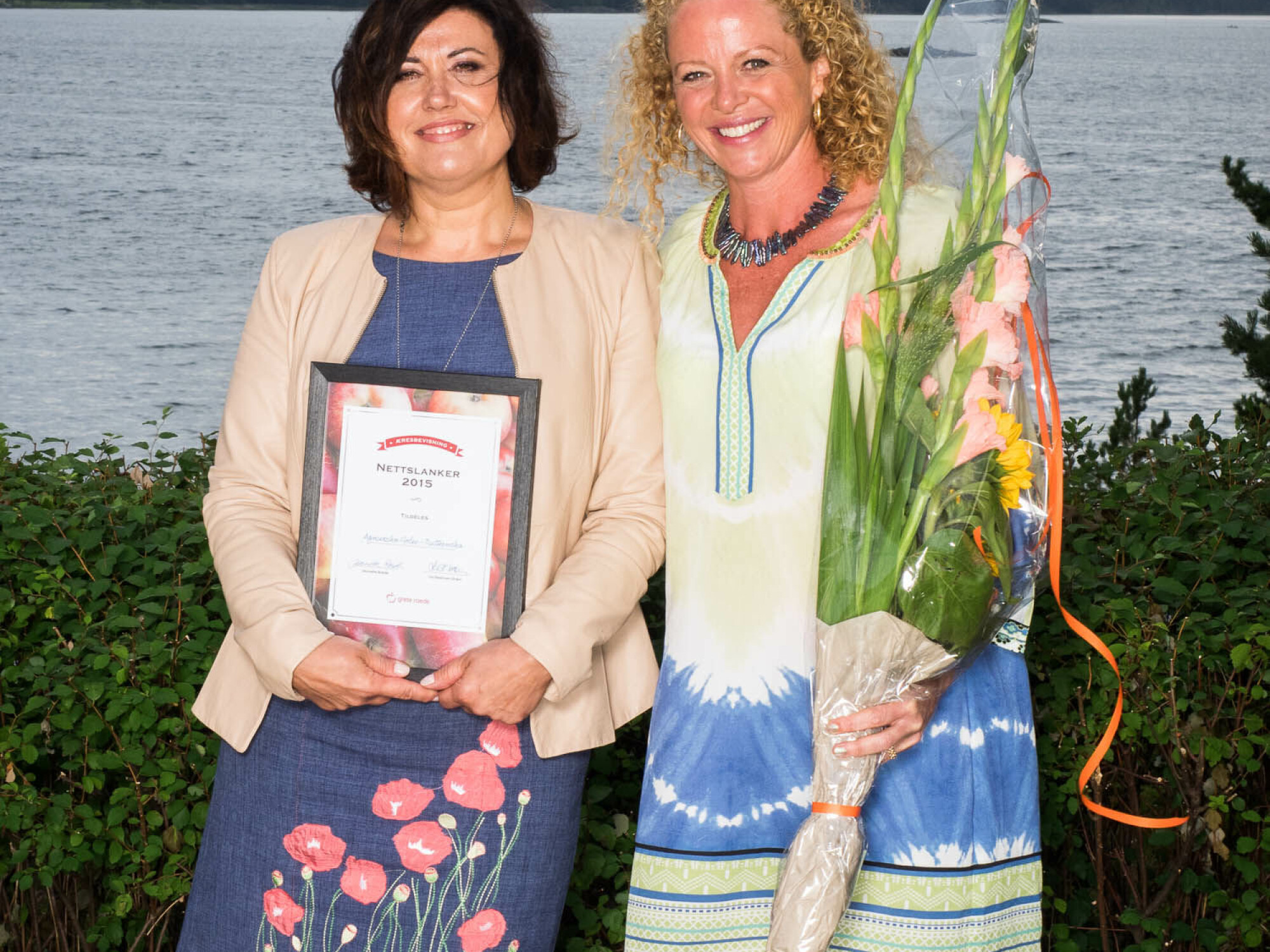 I 2015 vant Agnieszka Roede-prisen Årets nettslanker