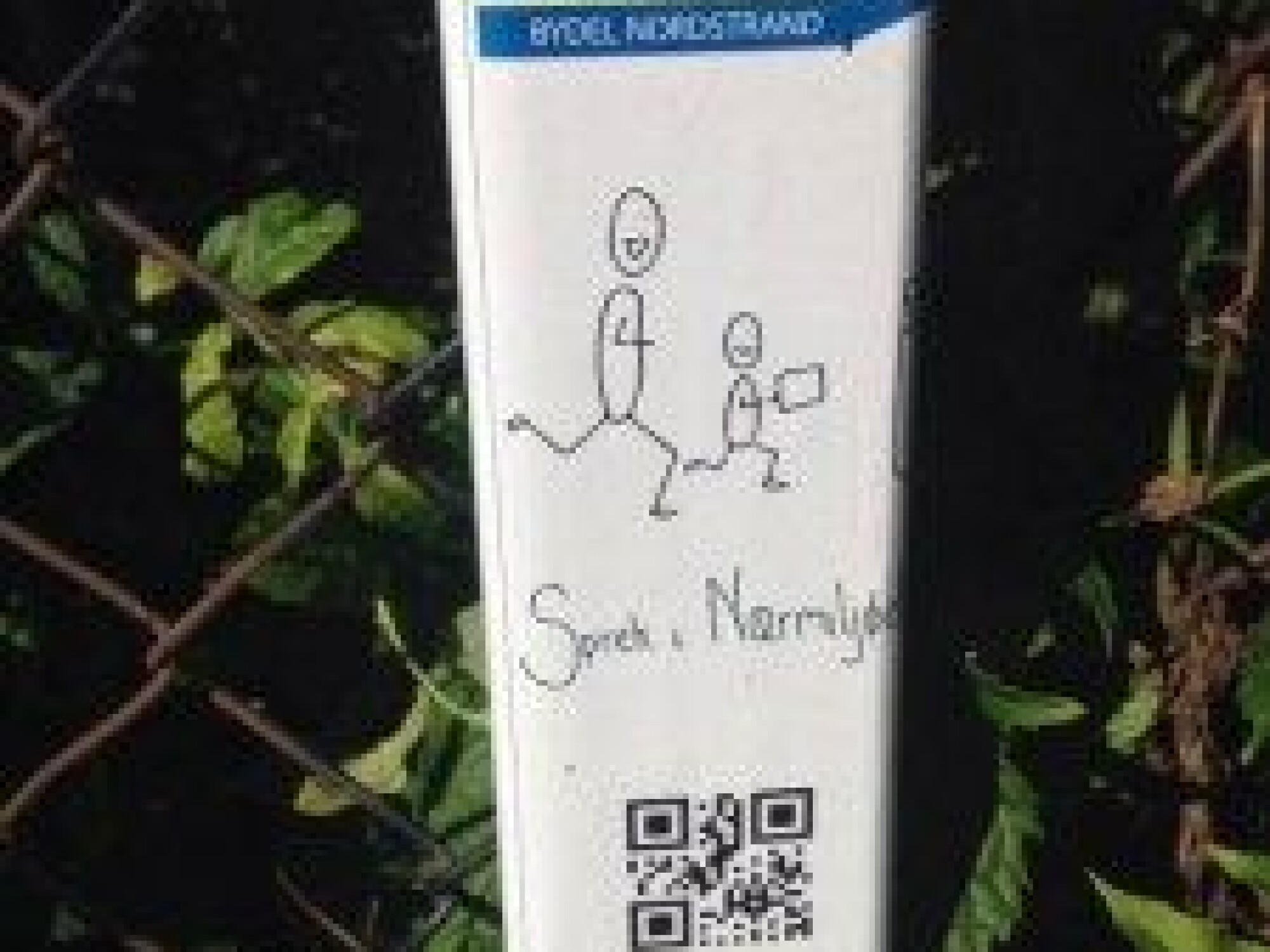 Trening på en lekeplass gjør underverker