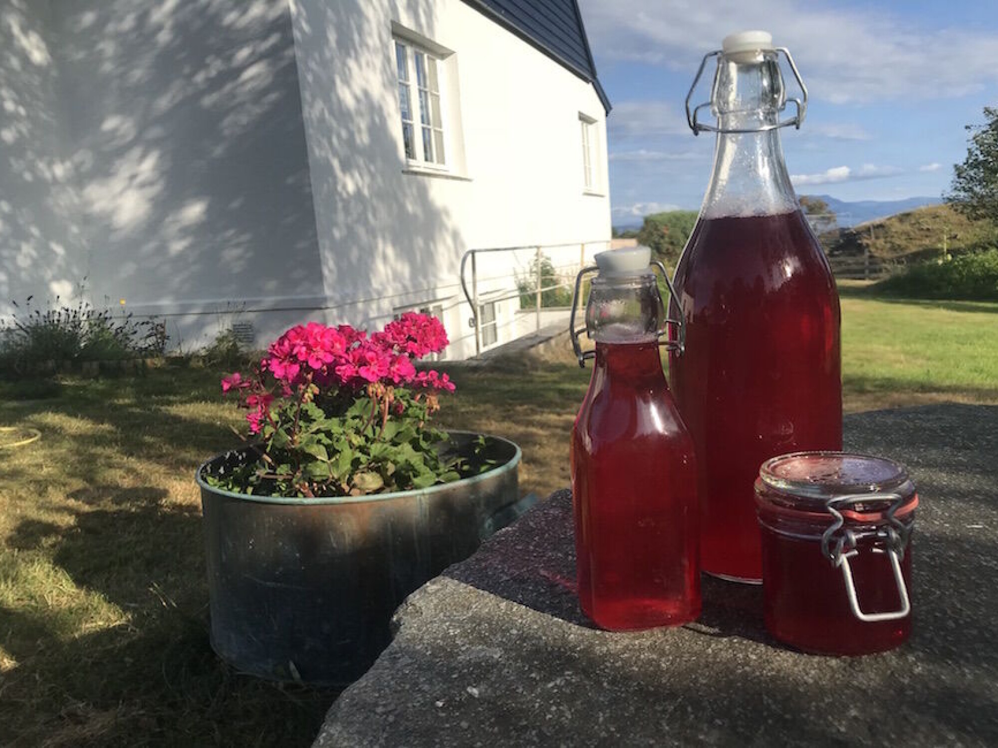 ENKLERE ENN DU TROR: Å lage hjemmelaget saft, syltetøy eller gelé er enklere enn du skulle tro!